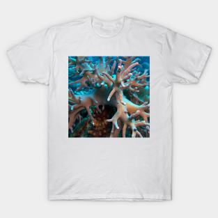 Branching Soft Coral T-Shirt